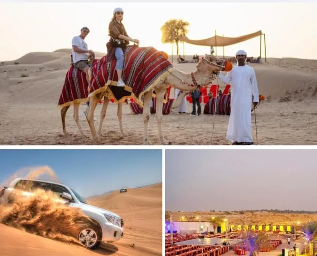 Camel Riding In private safari